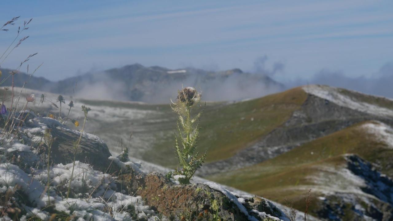 Le Prince Des Cimes Apartment Les Arcs  ภายนอก รูปภาพ